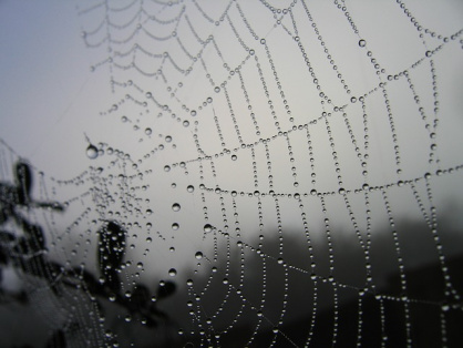 Scattered Spider cybercrime gang shifts from SIM-swapping to more advanced techniques  