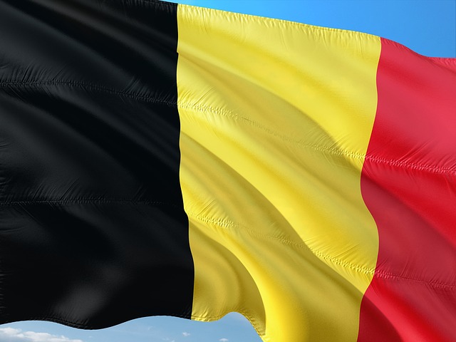 Hackers breached Belgian Defense Ministry’s network using Log4j flaw