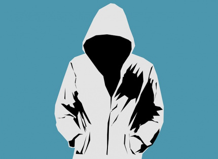 Law enforcement op disrupts global botnet linked to Chinese state-sponsored hackers