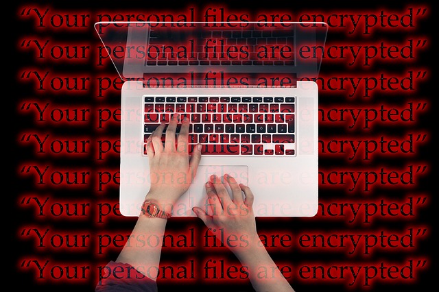 CISA announces ransomware vulnerability warning pilot program