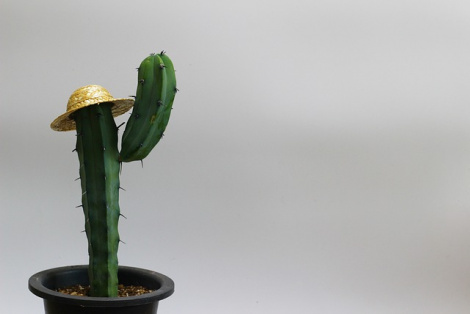New DanaBot malvertising campaign delivers Cactus ransomware