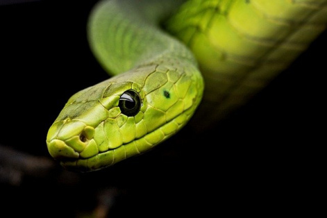 TunnelSnake cyber-espionage campaign deploys unique rootkit to backdoor Windows systems